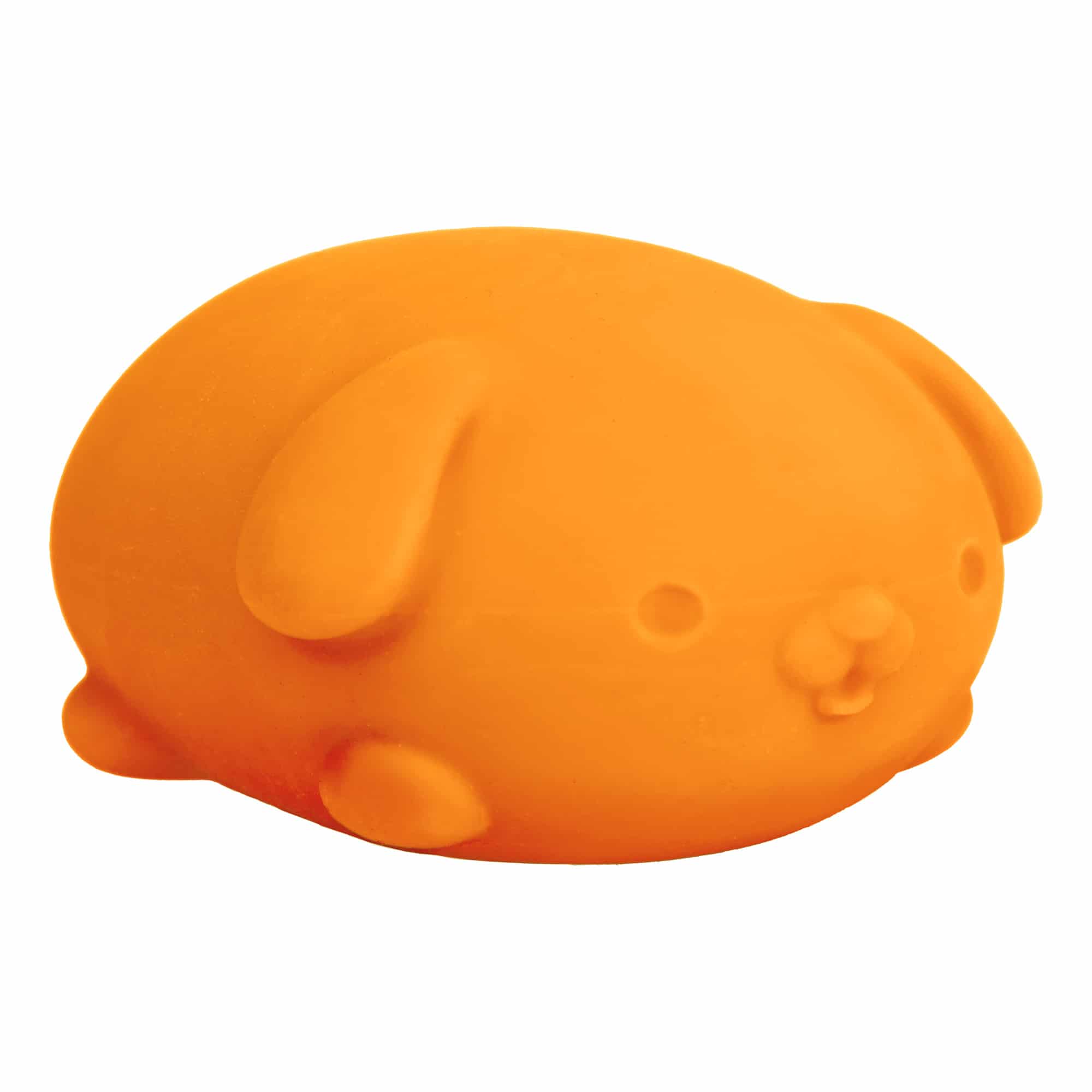 Adorable Character NeeDoh Funky Pup | Collection Canyon Shore - Purrfect Cat Squishy Character Stress Toy Detail