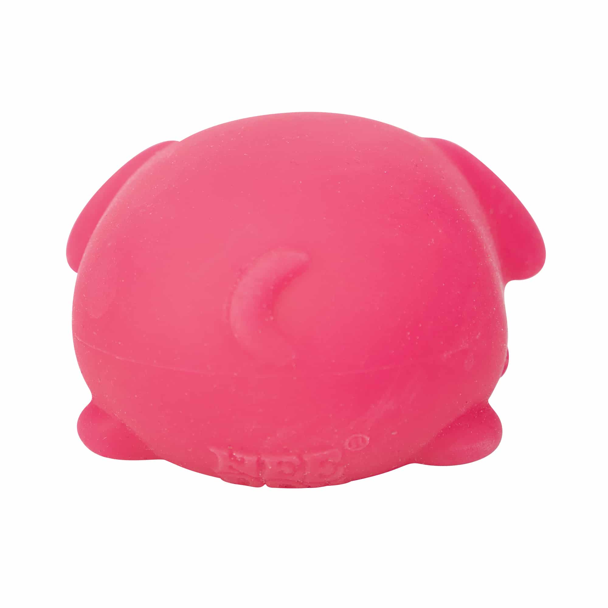 Adorable Character NeeDoh Funky Pup | Collection Canyon Shore - Purrfect Cat Squishy Character Stress Toy Detail