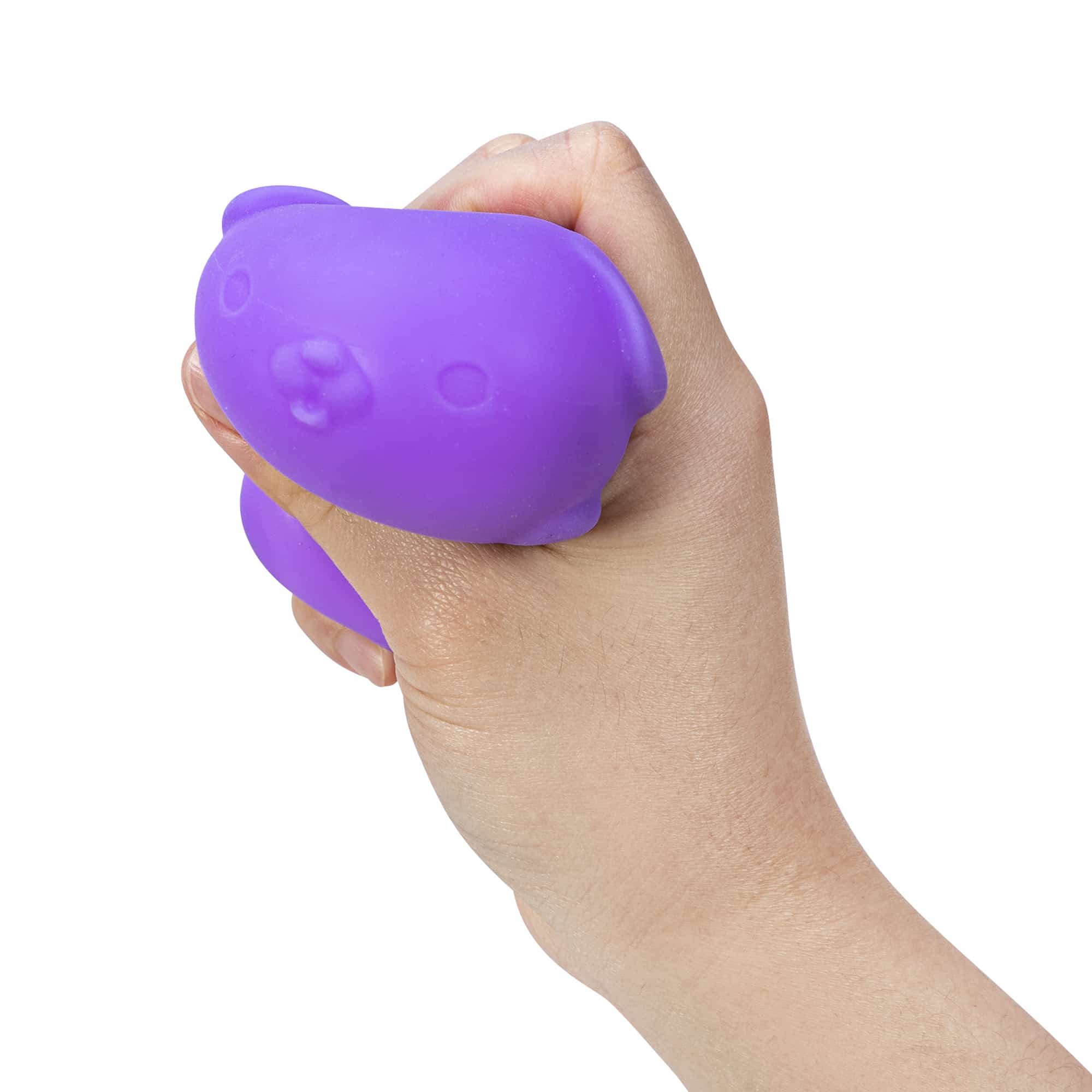 Adorable Character NeeDoh Funky Pup | Collection Canyon Shore - Purrfect Cat Squishy Character Stress Toy Detail